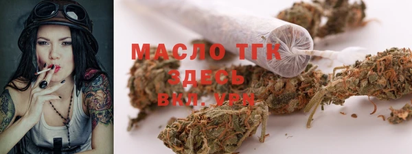 шишки Богородицк