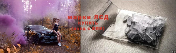 шишки Богородицк