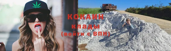 тгк Богданович