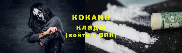 тгк Богородск