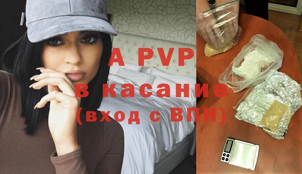 тгк Богданович