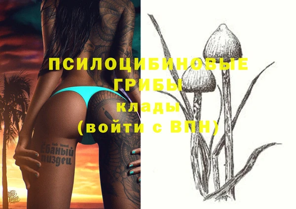шишки Богородицк