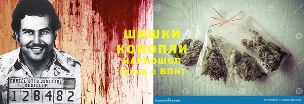 тгк Богданович