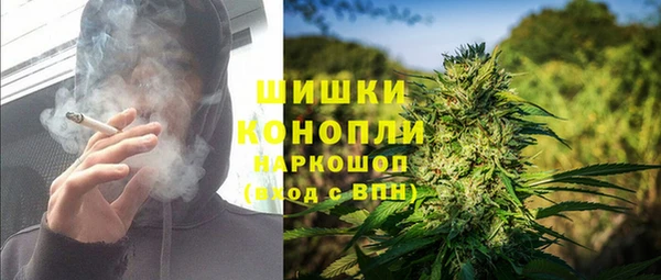 тгк Богданович