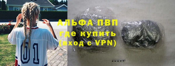 шишки Богородицк