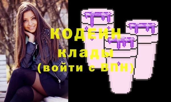 шишки Богородицк